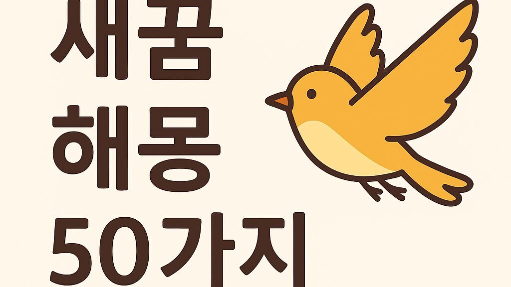 새꿈 해몽 50가지