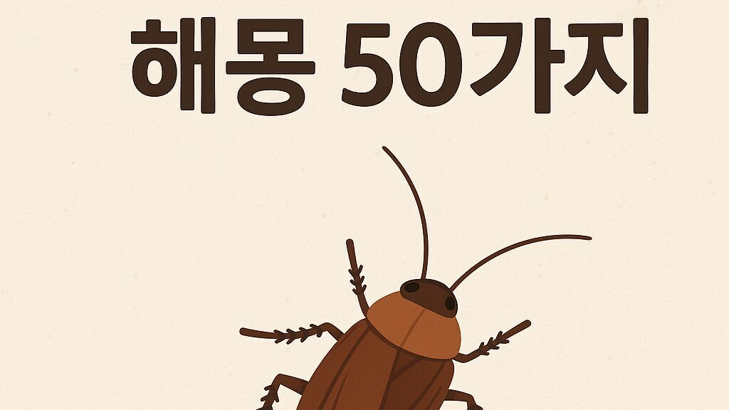 바퀴벌레꿈 해몽 50가지