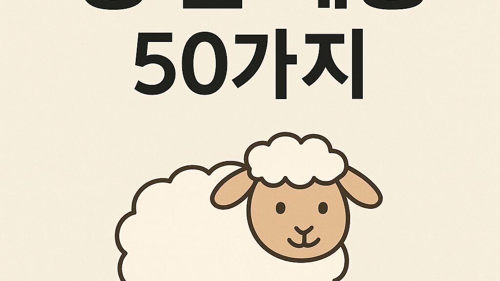 양 꿈 해몽 50가지