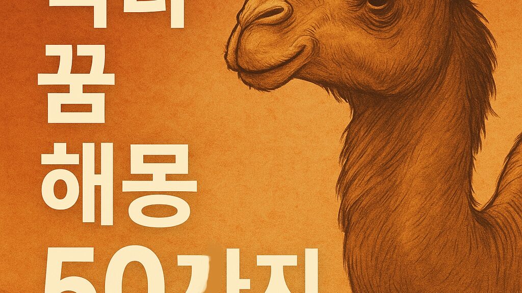 낙타 꿈 해몽 50가지
