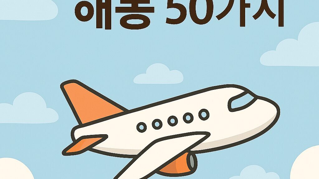 ✈️ 비행기 타는 꿈 해몽 50가지