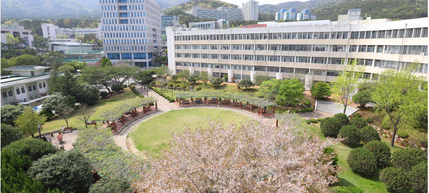 부산대학교(부산) – 영남권 대표 국립대, 전 분야 최상위 연구중심대학