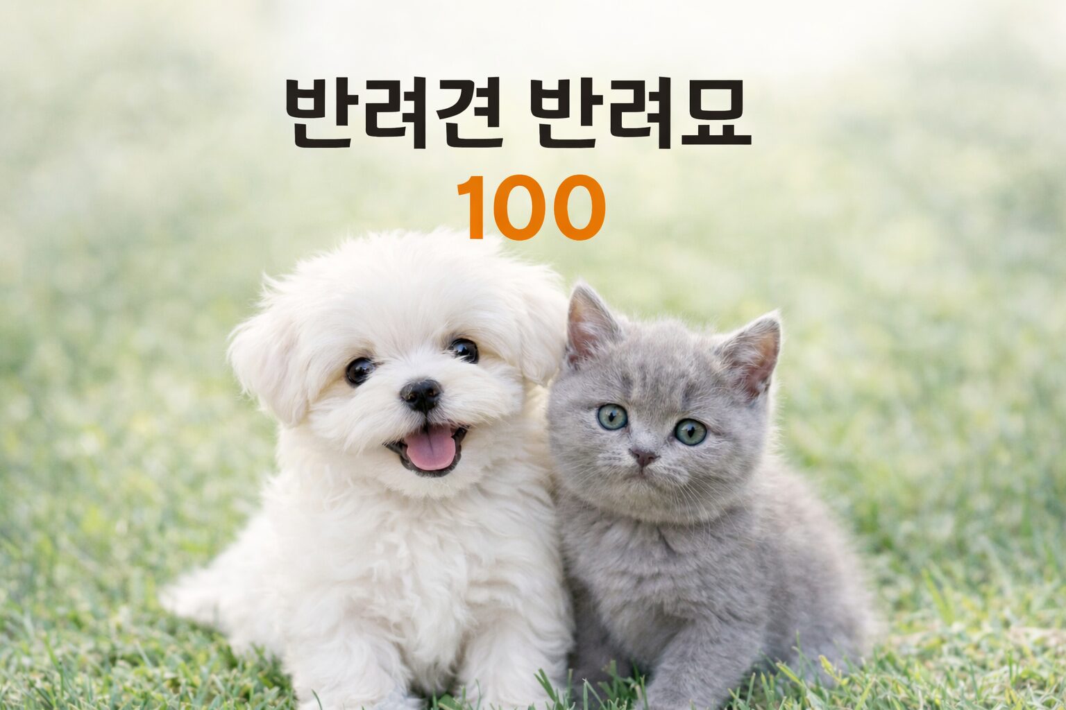 반려견·반려묘 종류와 특징 100가지