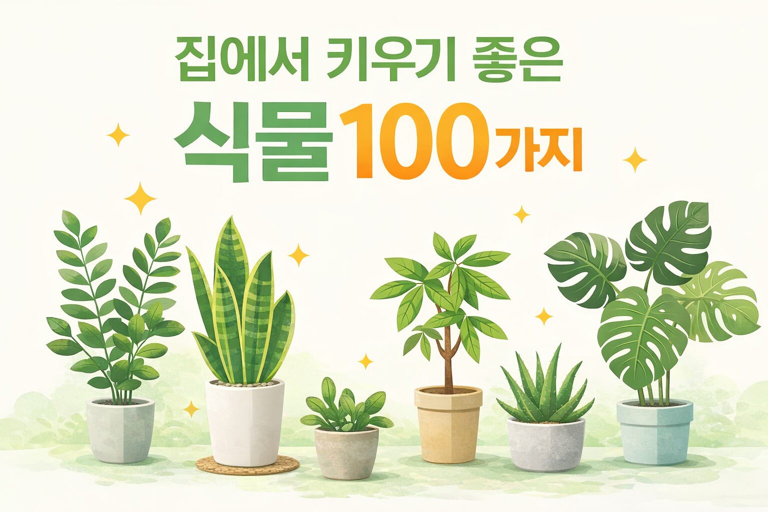 집에서 키우기 좋은 식물 100가지