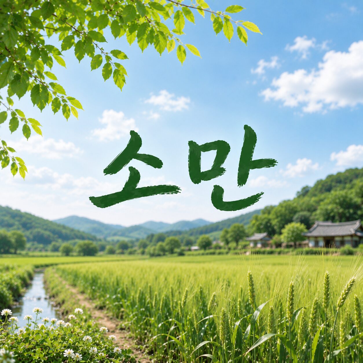 소만(小滿) 뜻과 풍습, 날씨 특징 알아보기