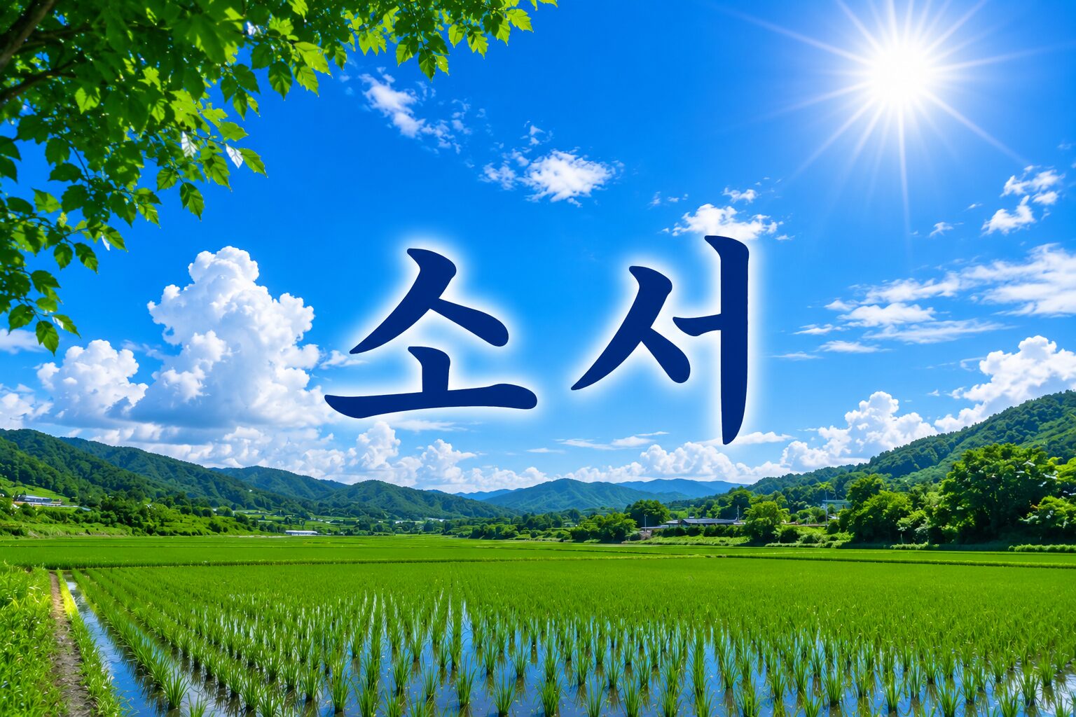 소서(小暑) 뜻과 풍습, 날씨 특징 알아보기