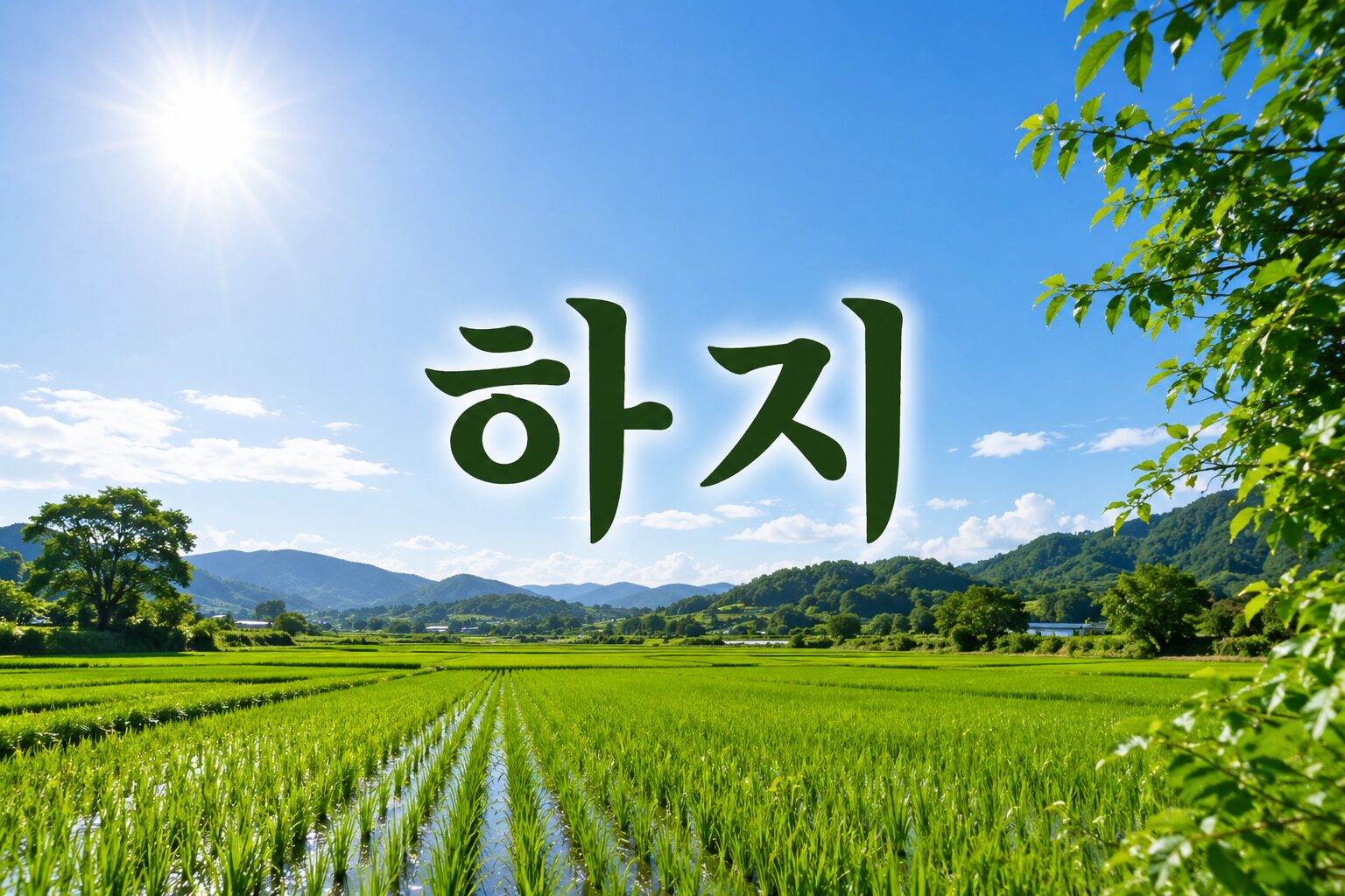 하지(夏至) 뜻과 풍습, 날씨 특징 알아보기
